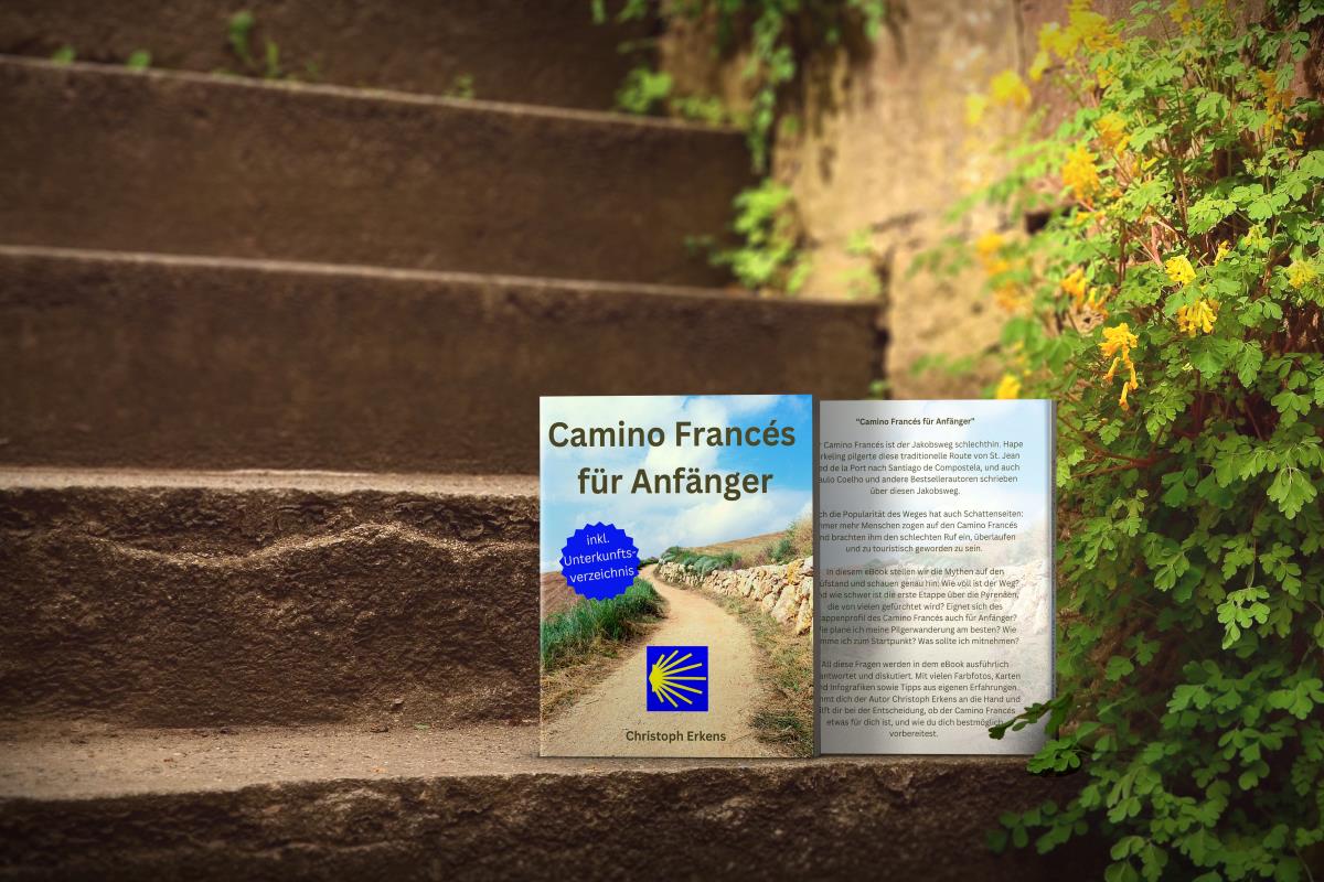 Camino Francés für Anfänger Treppe small