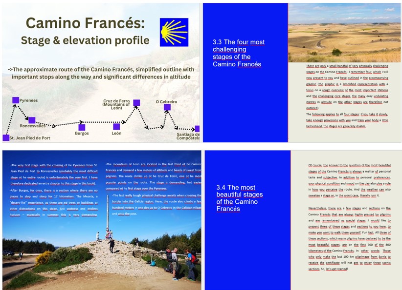 Look inside the book Camino Frances for beginners (The French way)